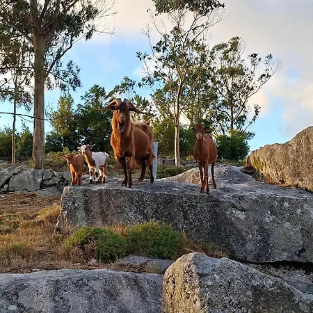 Apartamento A De Lema, Rural Independiente En As Cortiñas Coens