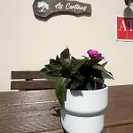 A De Lema, Rural En As Cortinas