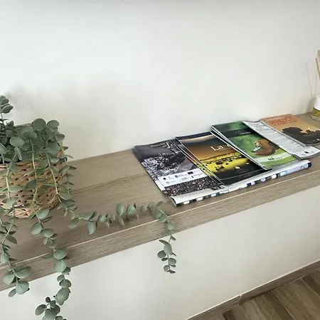 شقة A De Lema, Rural En As Cortinas Coens