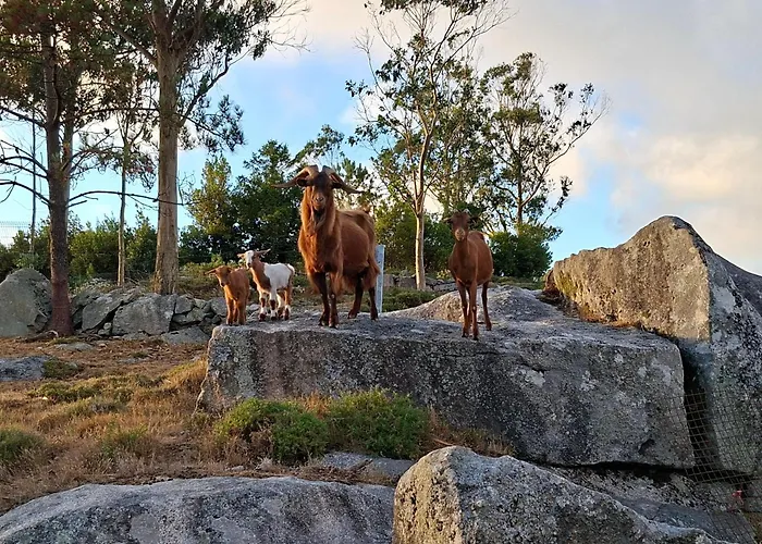 Appartement A De Lema, Apartamento Rural En As Cortinas Coens